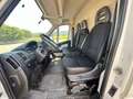 Fiat Ducato 33 L2H2 BLUEHDI 130CV - FK965NG Bianco - thumbnail 10