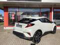 Toyota C-HR 2.0 Hybrid Team Deutschland - thumbnail 12