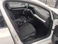 Volkswagen Golf Golf 2.0 tdi Style 115cv Bianco - thumbnail 4
