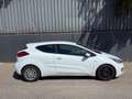 Kia ProCeed / pro_cee'd pro cee'd 1,6 CRDi Cool | PICKERL BIS 11/2026 I... Weiß - thumbnail 5