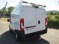 Fiat Ducato 2.0 JTD 115 PACK L1H1 Blanc - thumbnail 4