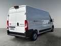 Toyota Proace Max Proace Max L3H2 verblecht 4-türig Work 2.2 Diesel Weiß - thumbnail 5