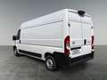 Toyota Proace Max Proace Max L3H2 verblecht 4-türig Work 2.2 Diesel Weiß - thumbnail 3