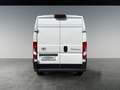 Toyota Proace Max Proace Max L3H2 verblecht 4-türig Work 2.2 Diesel Weiß - thumbnail 4