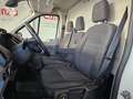 Ford Transit 350 130CV L2H2 Van Trend Delantera Bianco - thumbnail 14
