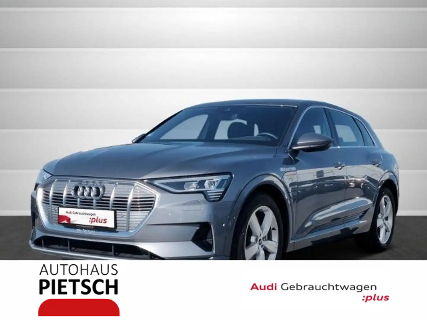 Audi e-tron 50 quattro 71kWh S line Tour LED Leder Grau - 1