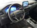 Ford Kuga ST-Line X 2.5 Duratec PHEV 165kW Auto Blanco - thumbnail 9