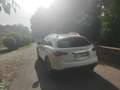 Infiniti FX LEGGI!! QX70 (FX) 3.0d V6 S Premium awd auto Blanco - thumbnail 4