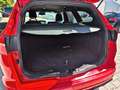 Ford Focus Turnier ST-Line RED Automatik *aus 1. Hand Rojo - thumbnail 15