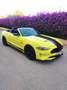 Ford Mustang Convertible 5.0 Ti-VCT GT Jaune - thumbnail 13