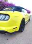 Ford Mustang Convertible 5.0 Ti-VCT GT Jaune - thumbnail 8