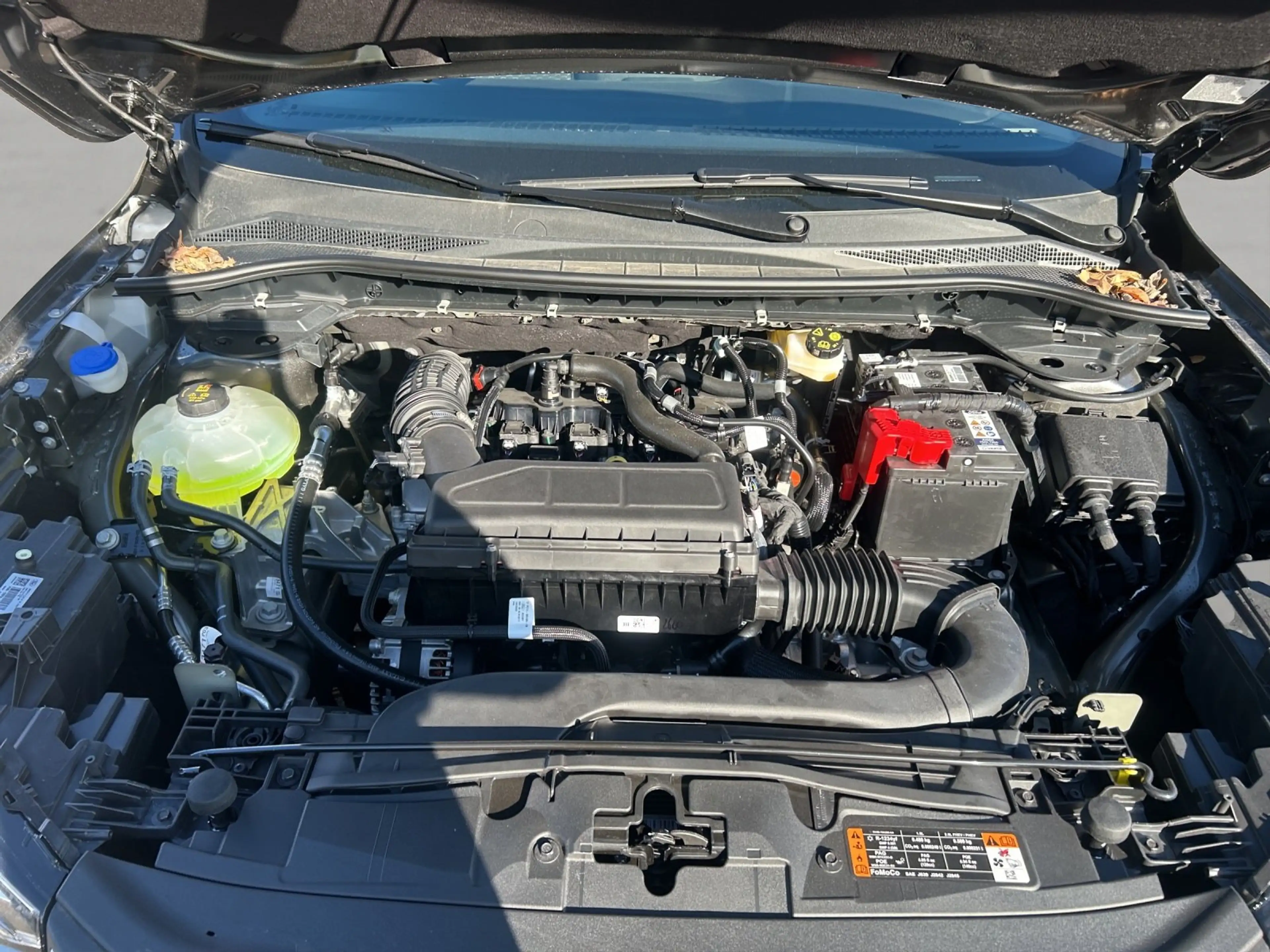 Ford Kuga 1.5 ST-Line Automatik/ AHK,GZ-Reifen/FGS — photo 15