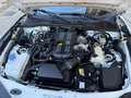 Fiat 124 Spider 124 Spider 1.4 m-air Lusso Bianco - thumbnail 8
