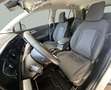 Kia Sportage Drive 1.6 T-GDi MHEV 160cv Weiß - thumbnail 9