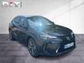 Lexus UX 300h F Sport Design Klima Kamera Sitzhzg Schwarz - thumbnail 7