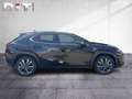 Lexus Sonstige UX 300 h 300h F Sport Design Klima Kamera Sitzhzg Schwarz - thumbnail 5