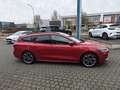 Ford Focus Clipper ST-line X Rot - thumbnail 6