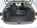 Skoda Scala -33% 1.0 TSI BVA 115cv+MIRRORLINK+CAM+LED+Opts Beige - thumbnail 33