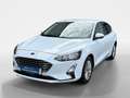 Ford Focus 1,5 EcoBlue Titanium X Weiß - thumbnail 1