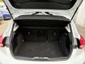 Ford Focus 1,5 EcoBlue Titanium X Weiß - thumbnail 16
