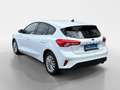 Ford Focus 1,5 EcoBlue Titanium X Weiß - thumbnail 3
