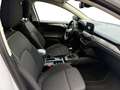 Ford Focus 1,5 EcoBlue Titanium X Weiß - thumbnail 15