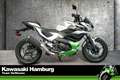 Kawasaki Z7 Hybrid mit 4 JAHREN WERKSGARANTIE Срібний - thumbnail 1