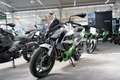 Kawasaki Z7 Hybrid mit 4 JAHREN WERKSGARANTIE Срібний - thumbnail 3