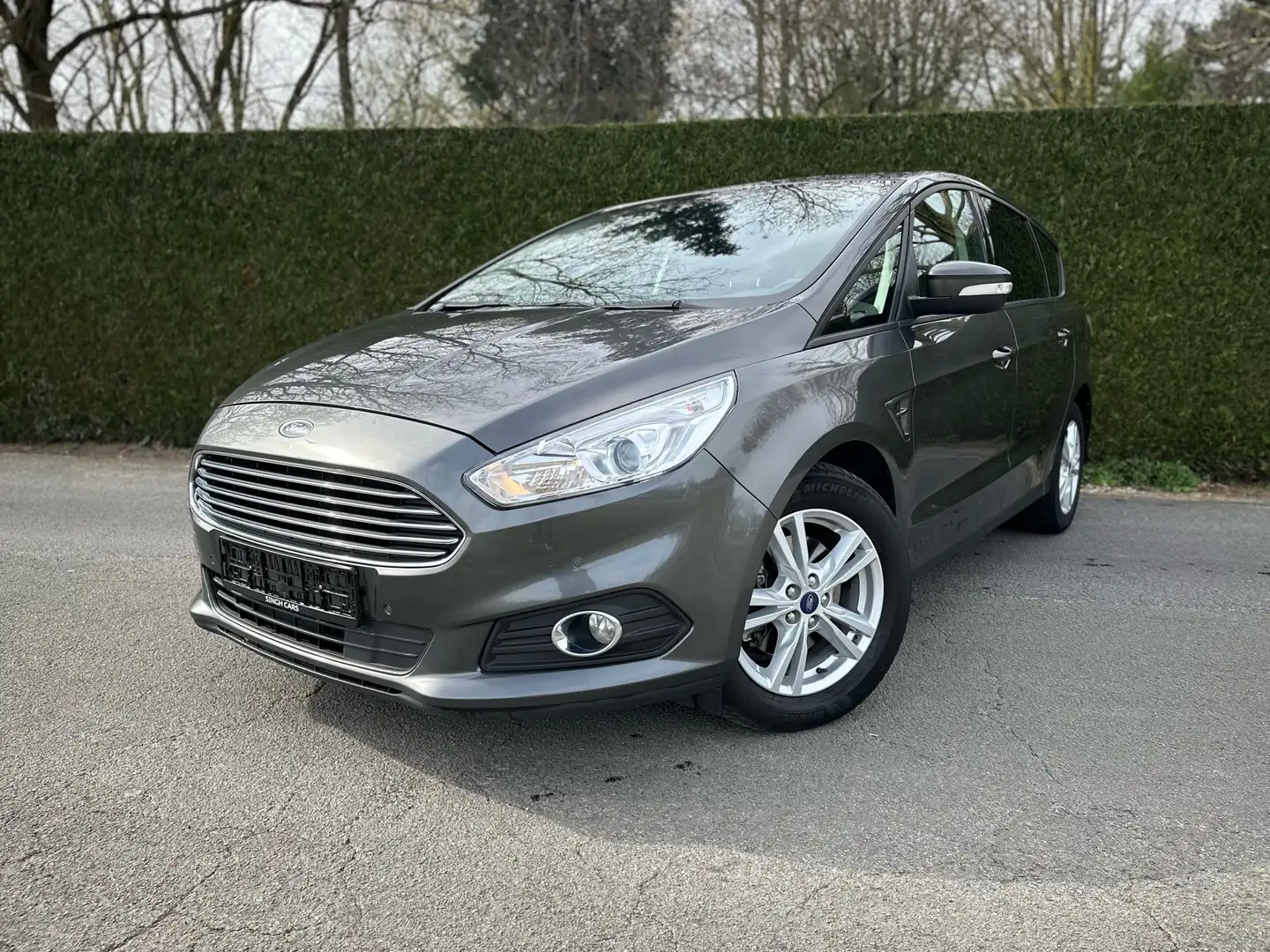 Ford S-Max 2.0 TDCi Vignale (EU6.2) Gris - 1