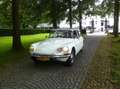 Citroen DS break Wit - thumbnail 4