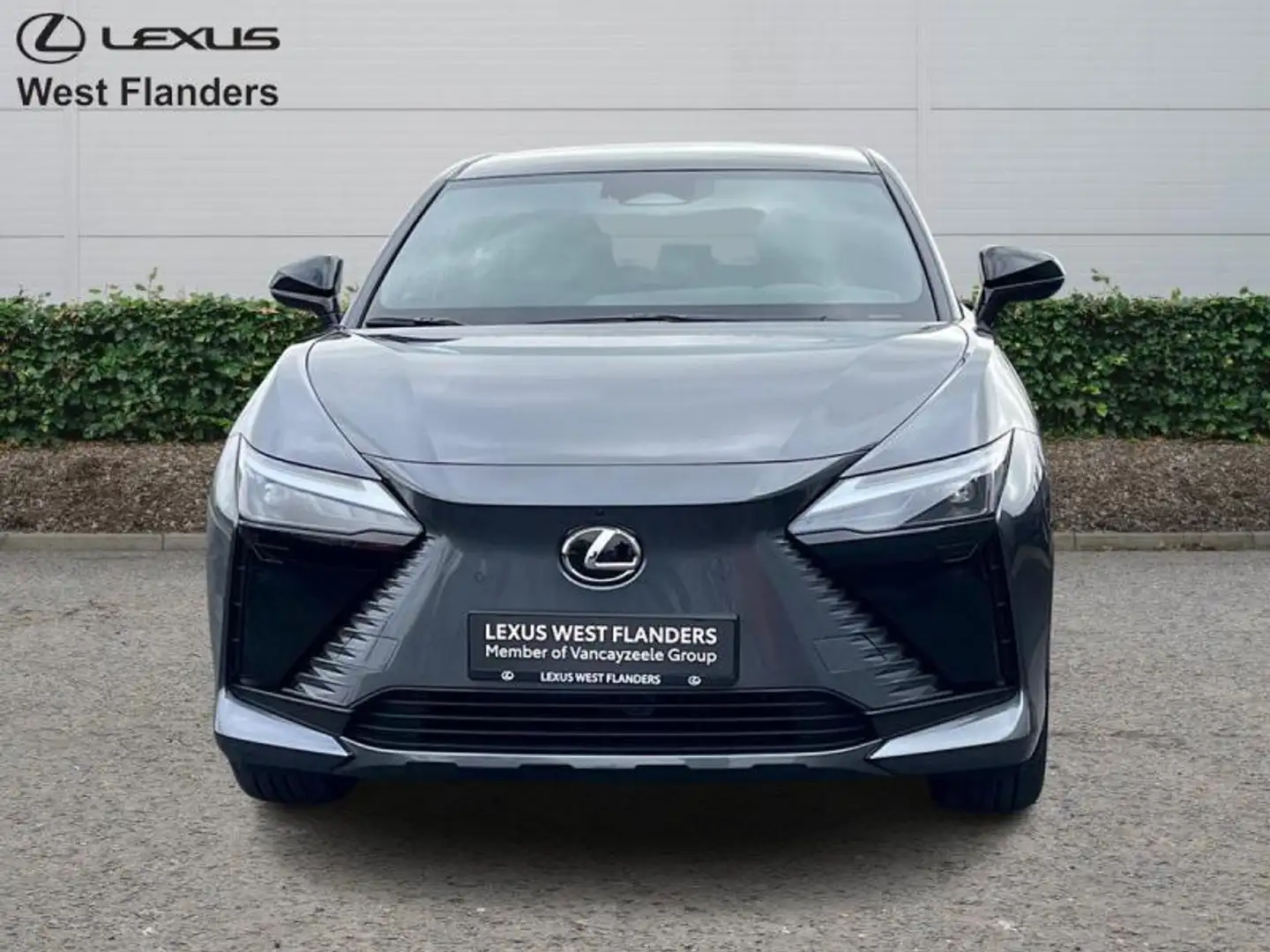 Lexus RZ Privilege Line + Yoke Grau - 2