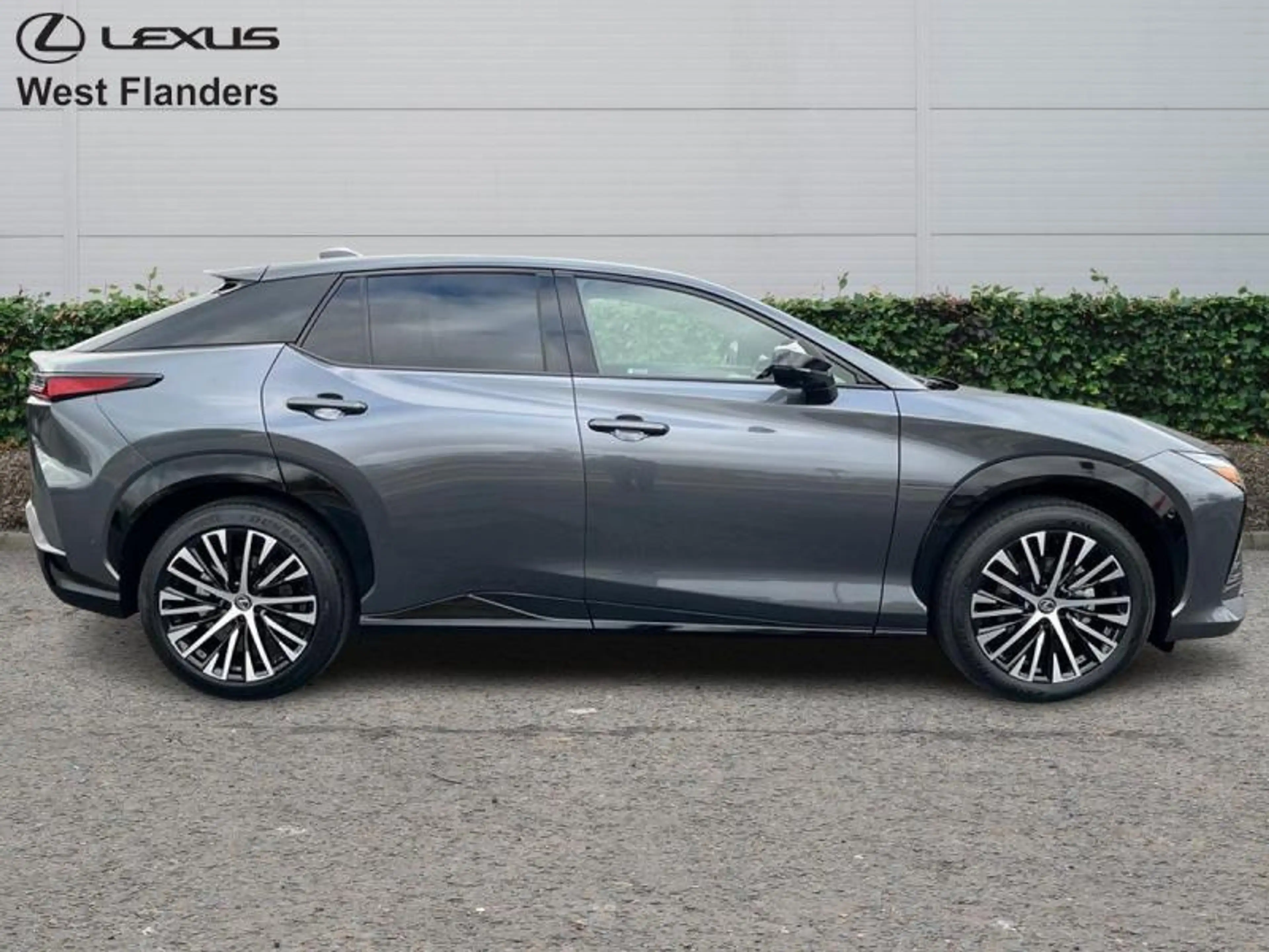 Lexus RZ Privilege Line + Yoke — photo 3