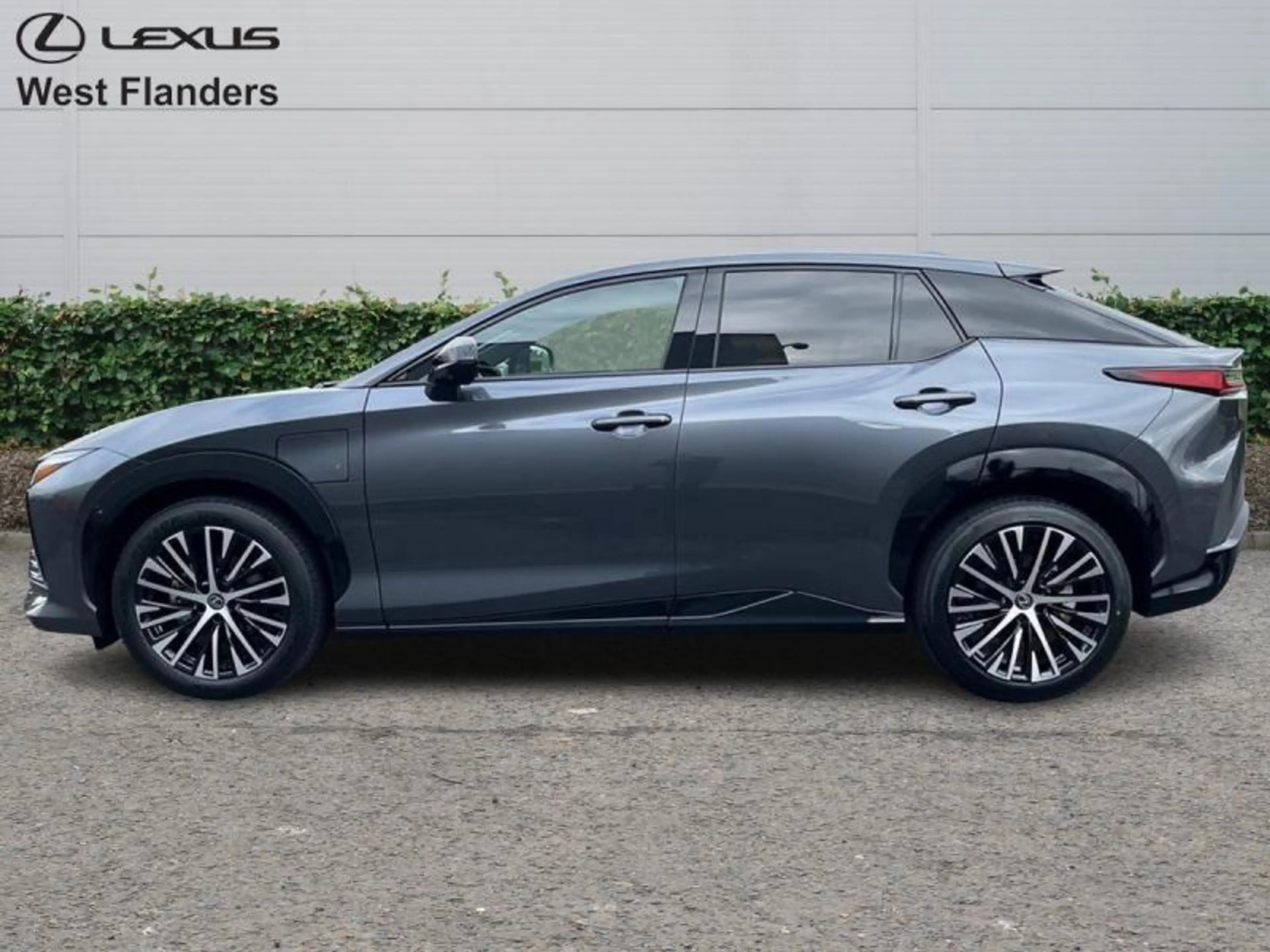 Lexus RZ Privilege Line + Yoke — photo 5