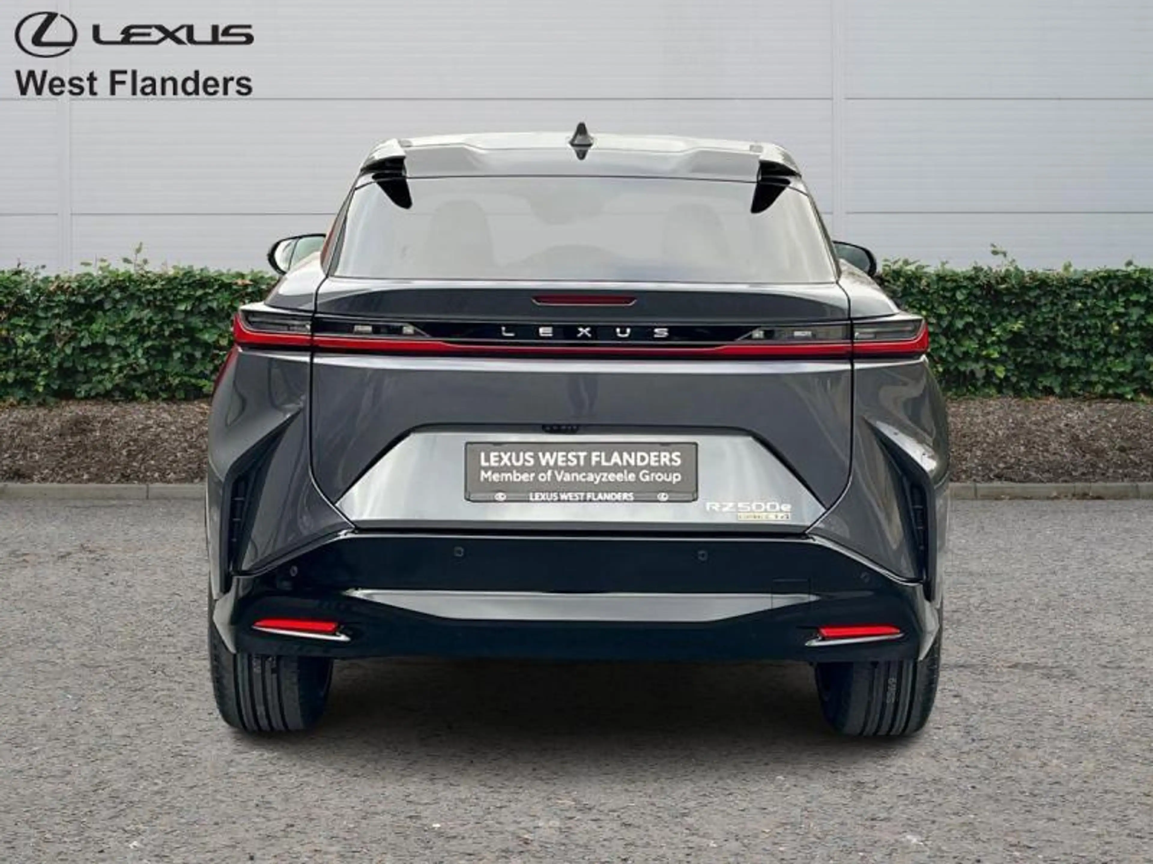 Lexus RZ Privilege Line + Yoke — photo 6