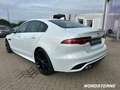 Jaguar XE XE D180 R-Dynamic S AWD LED+KAMERA+ACC+LEDER Blanco - thumbnail 3