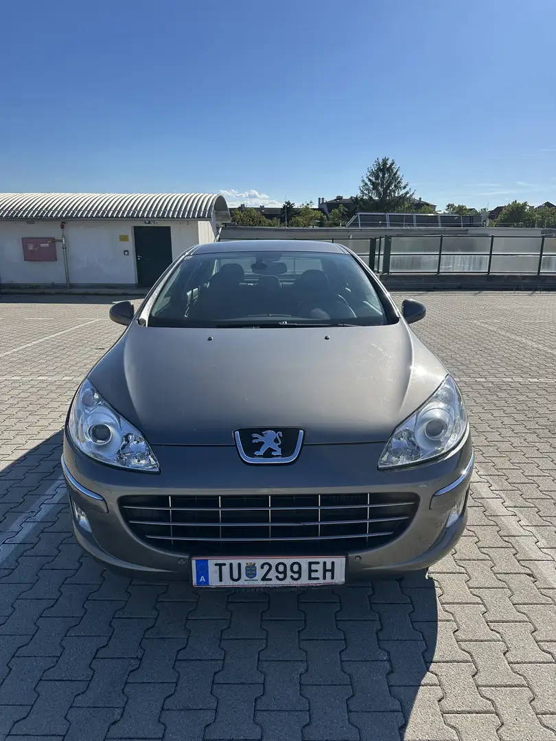 Peugeot 407 1,6 HDI 110 (FAP) - 2