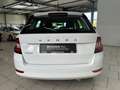 Skoda Fabia Combi Ambition 1.0 TSI SHZ PDC  Freisprech Weiß - thumbnail 6