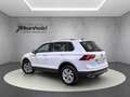 Volkswagen Tiguan 2.0 TDI DSG 4M Elegance, Standh., AHK Weiß - thumbnail 5