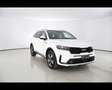 Kia Sorento 1.6 T-GDi HEV AT6 4WD Evolution Bianco - thumbnail 3
