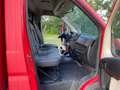 Peugeot Boxer 3.0 HDI Non va in Moto Roşu - thumbnail 8