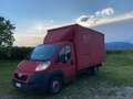Peugeot Boxer 3.0 HDI Non va in Moto Roşu - thumbnail 1