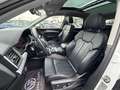 Audi Q5 40 TDI quattro sport*PANO*Virtual*LED*LEDER* Weiß - thumbnail 12