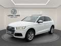 Audi Q5 40 TDI quattro sport*PANO*Virtual*LED*LEDER* Weiß - thumbnail 1