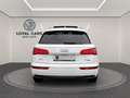 Audi Q5 40 TDI quattro sport*PANO*Virtual*LED*LEDER* Weiß - thumbnail 11