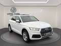 Audi Q5 40 TDI quattro sport*PANO*Virtual*LED*LEDER* Weiß - thumbnail 8