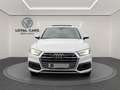 Audi Q5 40 TDI quattro sport*PANO*Virtual*LED*LEDER* Weiß - thumbnail 2