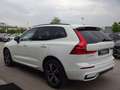 Volvo XC60 B5 R Design AWD 360° Google Memorysitz Weiß - thumbnail 5
