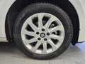 SEAT Leon Leon III 2013 5p 1.6 tdi cr Style s Bianco - thumbnail 15