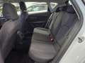 SEAT Leon Leon III 2013 5p 1.6 tdi cr Style s Bianco - thumbnail 9