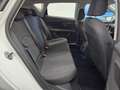 SEAT Leon Leon III 2013 5p 1.6 tdi cr Style s Bianco - thumbnail 13